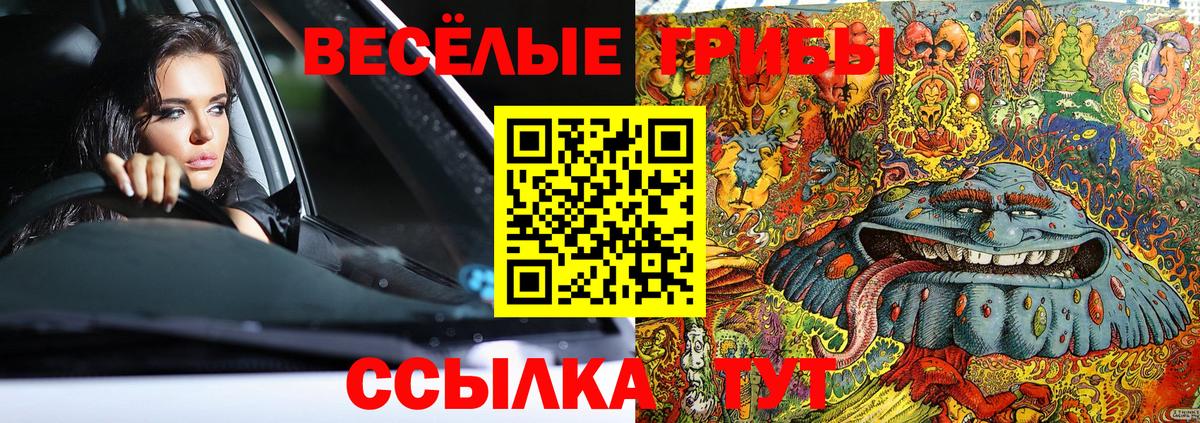 Каменка  Псилоцибиновые грибы Psilocybine cubensis  Псилоцибиновые грибы мицелий  Вход с VPN 