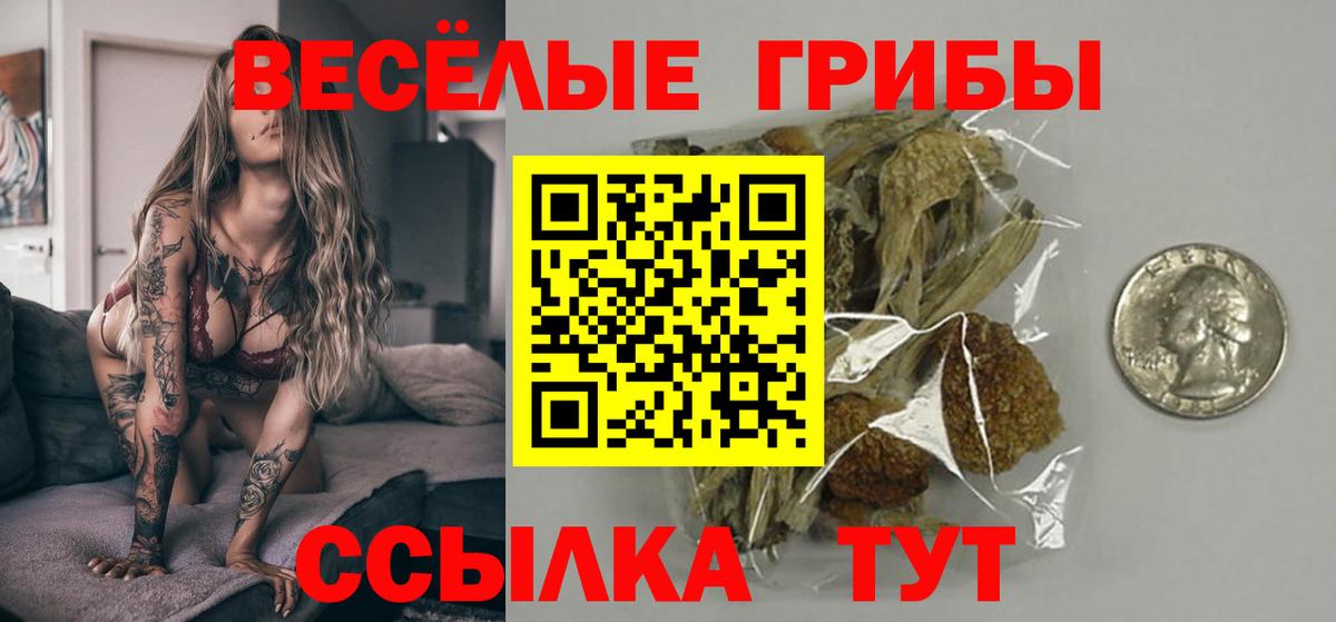 Галлюциногенные грибы Psilocybine cubensis Каменка